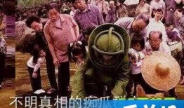 朝阳吃瓜群众什么意思